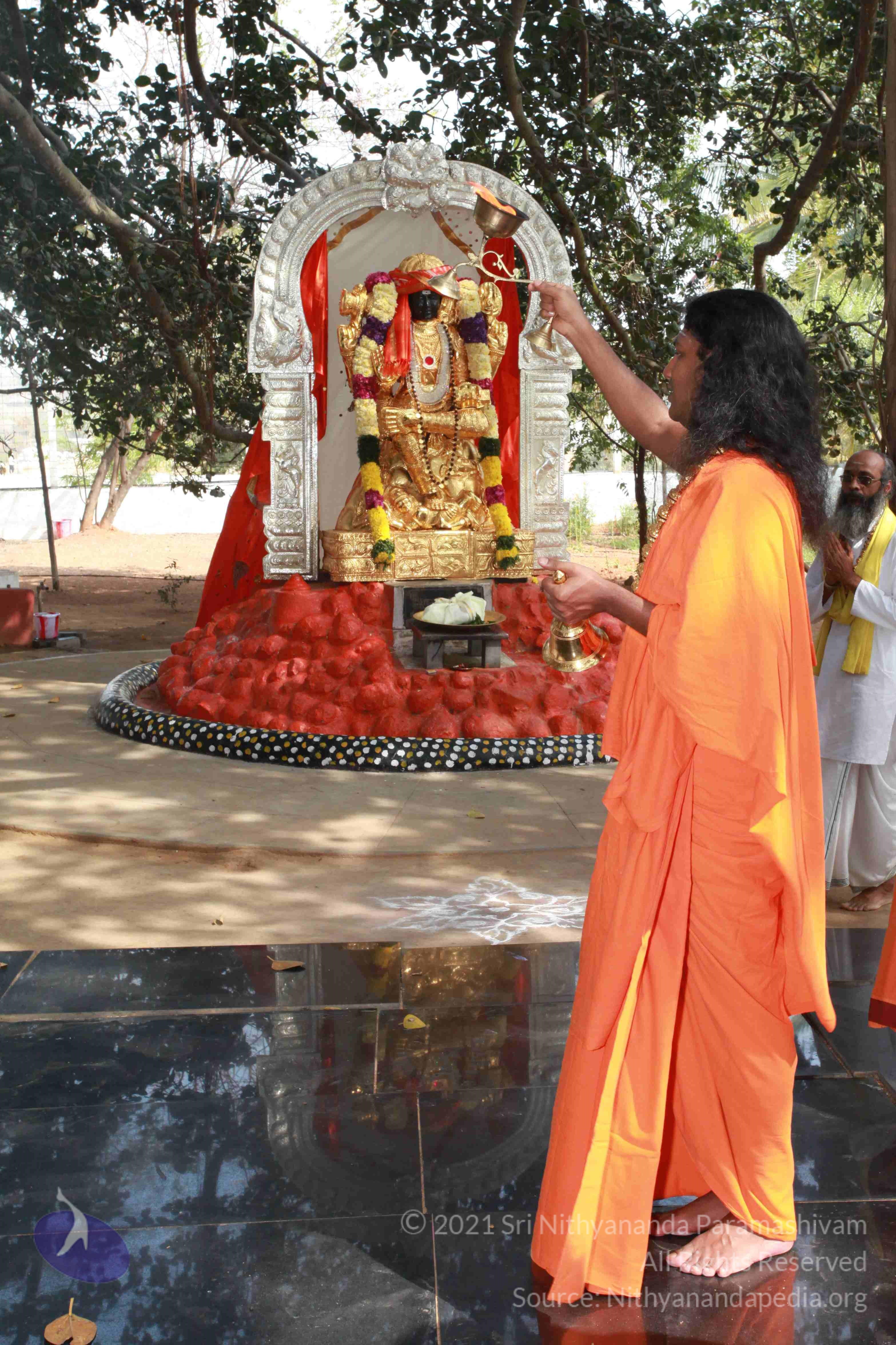 IMG_0495_CMP_WM Done